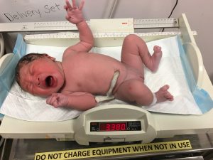 IMG_0451-e1496333923553