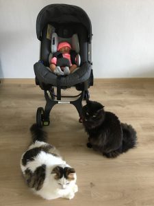 IMG_0507-e1496334261618