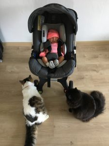 IMG_0508-e1496334277305