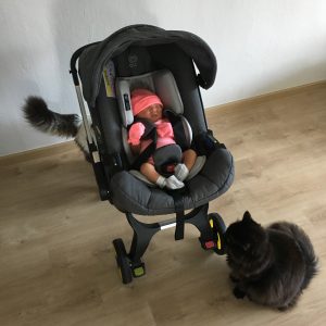 IMG_0510-e1496334306349