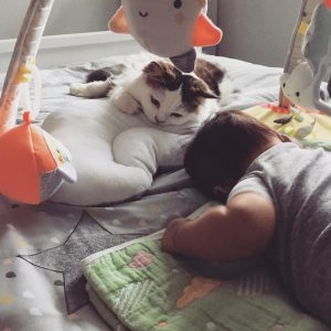 18879997_10158769106960006_3710809683274017769_o