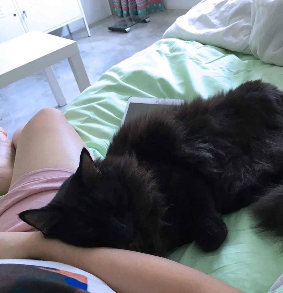 11