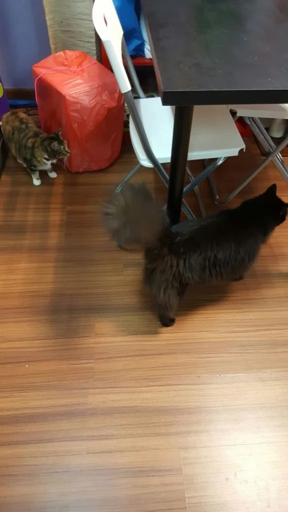 img_7714