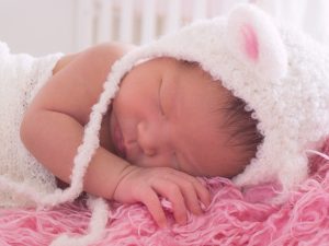 lamb6